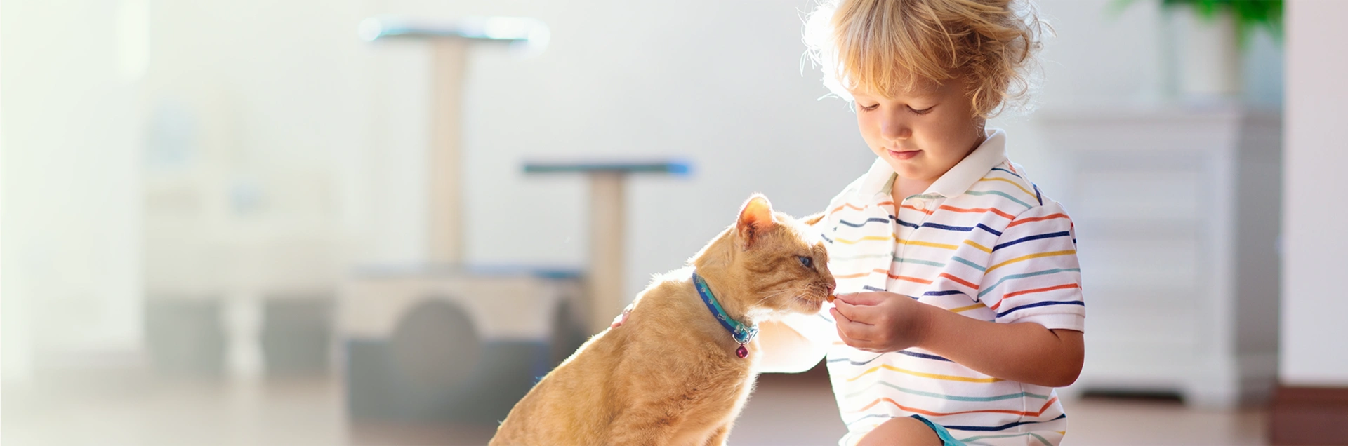 Education Hub-banner