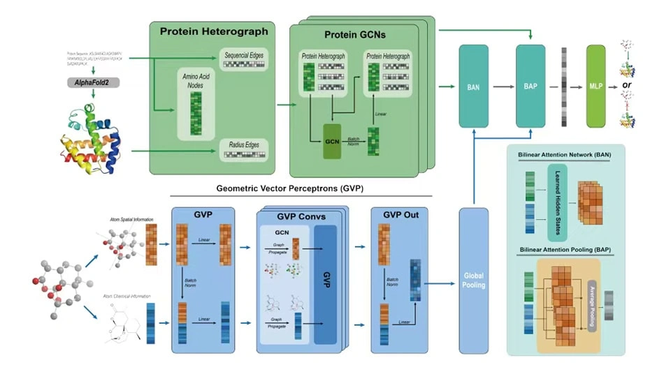 Guided by Nature's Wisdom