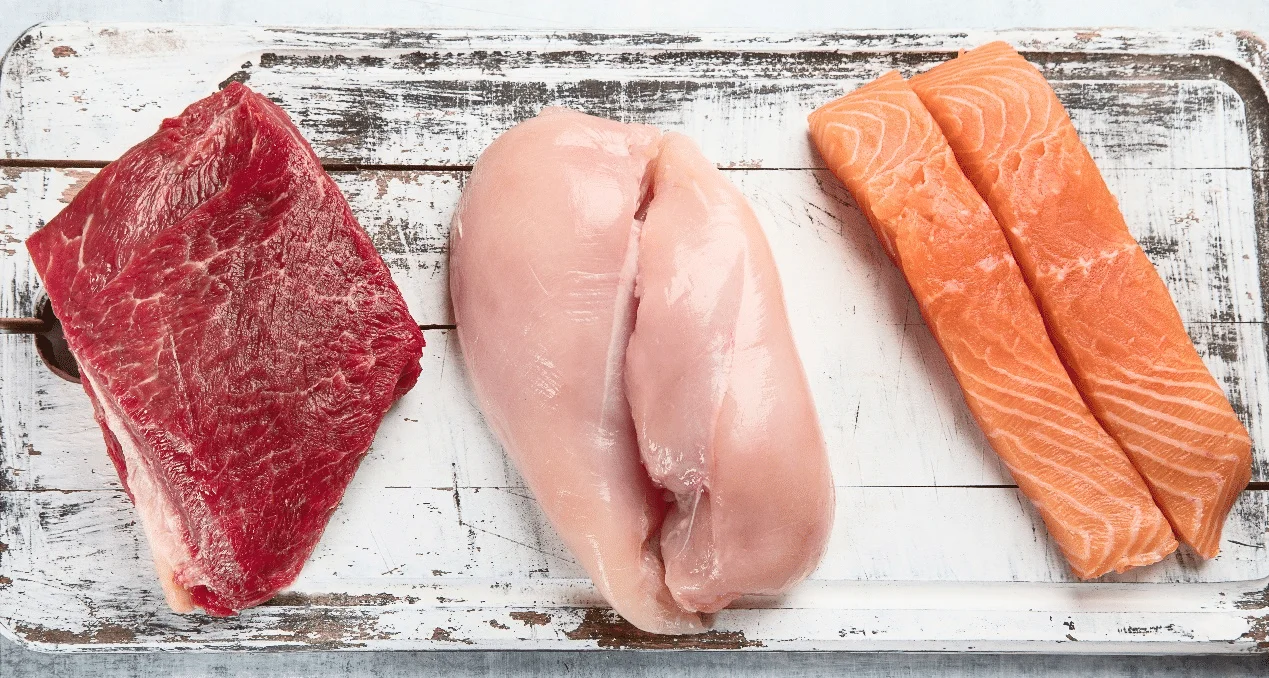 Adult Dogs & Cats &ndash; Energy Balance & Maintenance