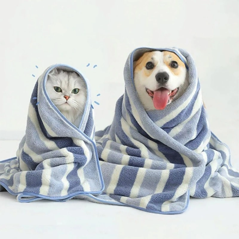dog and cat bath