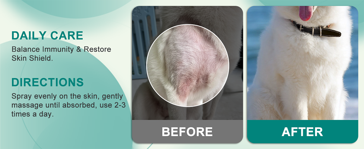 ImmuneBalance Skin Spray