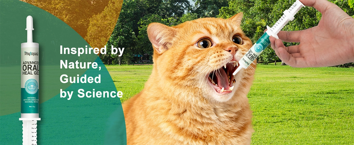 Advanced ORAL Heal Gel