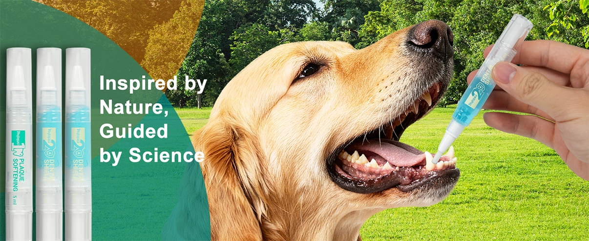 PlaqueOff Dental Kit