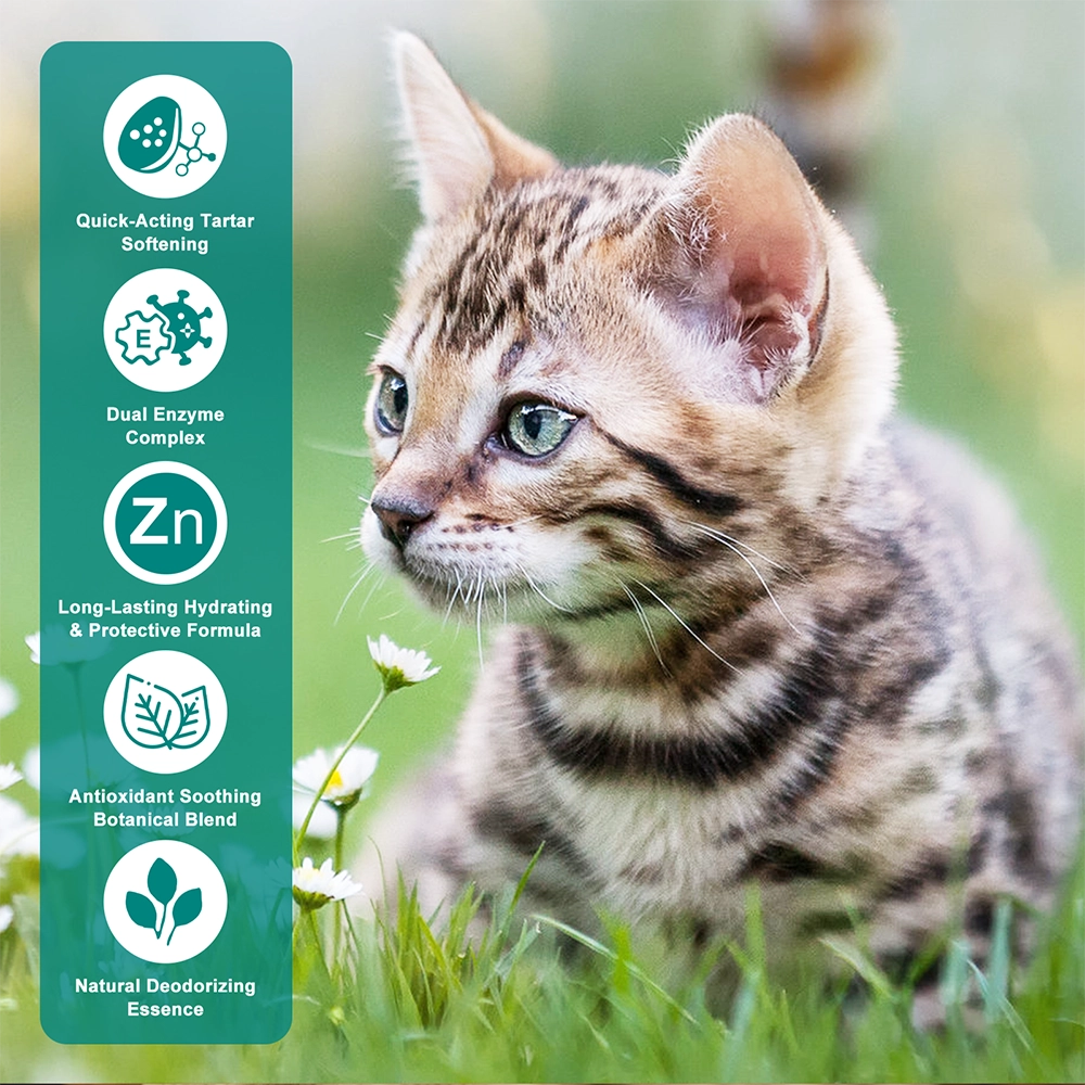 Plaque Softening Pen