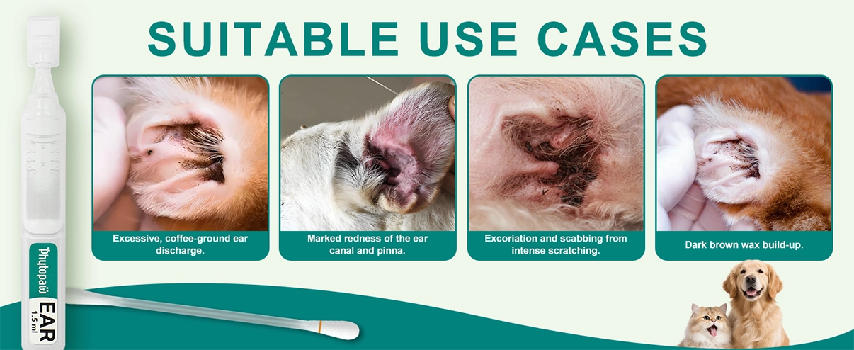 QuickClear EAR Drops