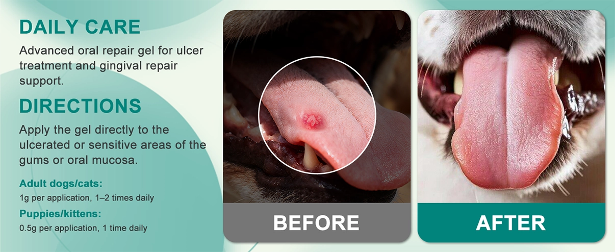 Advanced ORAL Heal Gel