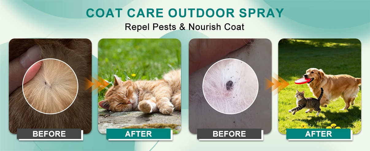 Coat Care Outdoor Spray