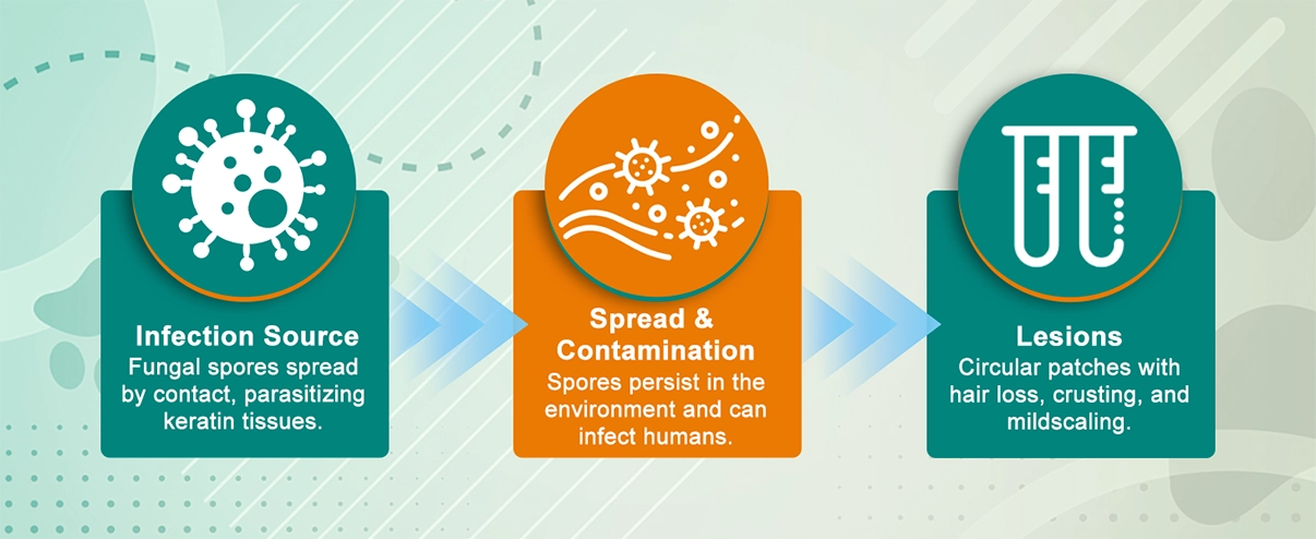 Antimicrobial Skin Relief Foam